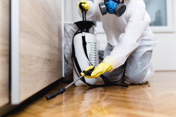 Best Best Pest Control Companies  in Town And Country, MO