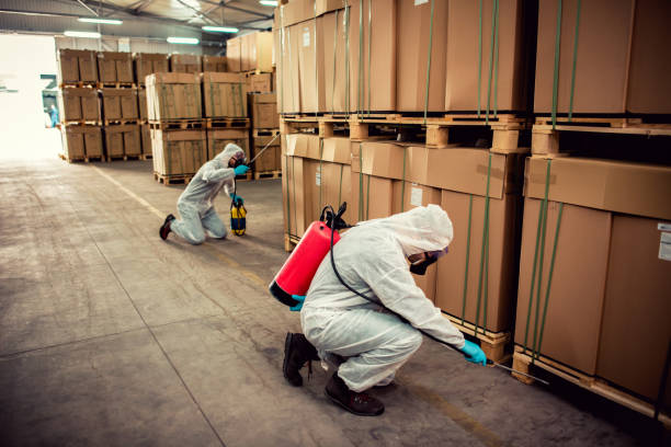 Best Ant Control Services  in Town And Country, MO