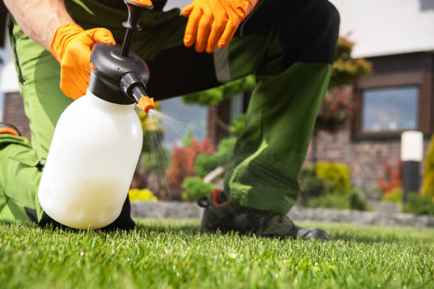 Best Pest Removal Services  in Town And Country, MO
