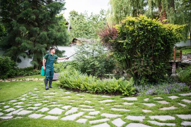 Best Best Pest Control Companies  in Town And Country, MO