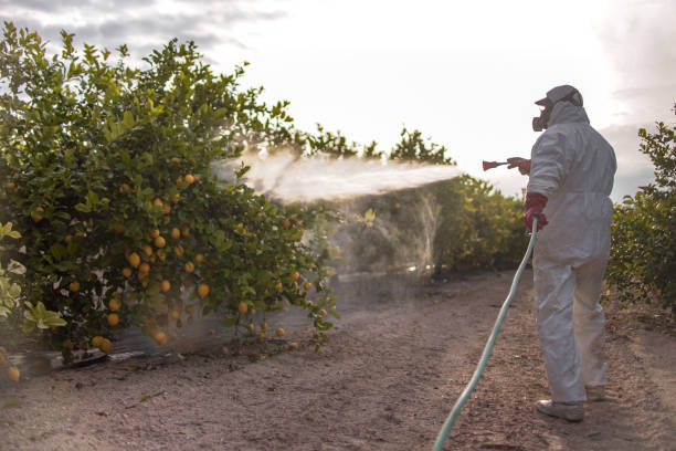 Best Residential Pest Control  in Town And Country, MO